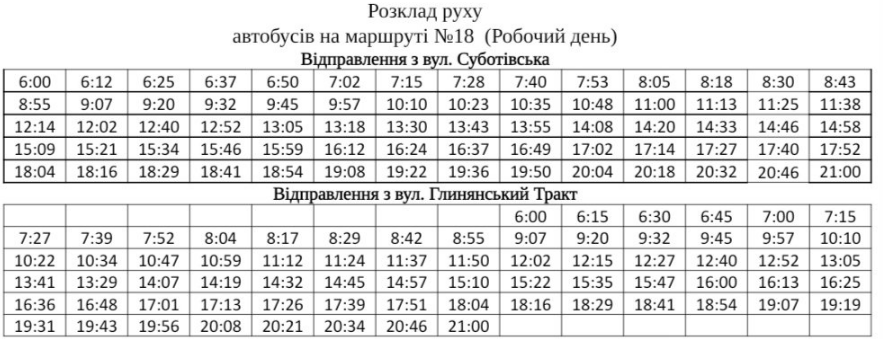 Похвилинний графік: як курсують автобуси у Львові під час локдауну фото 12 11