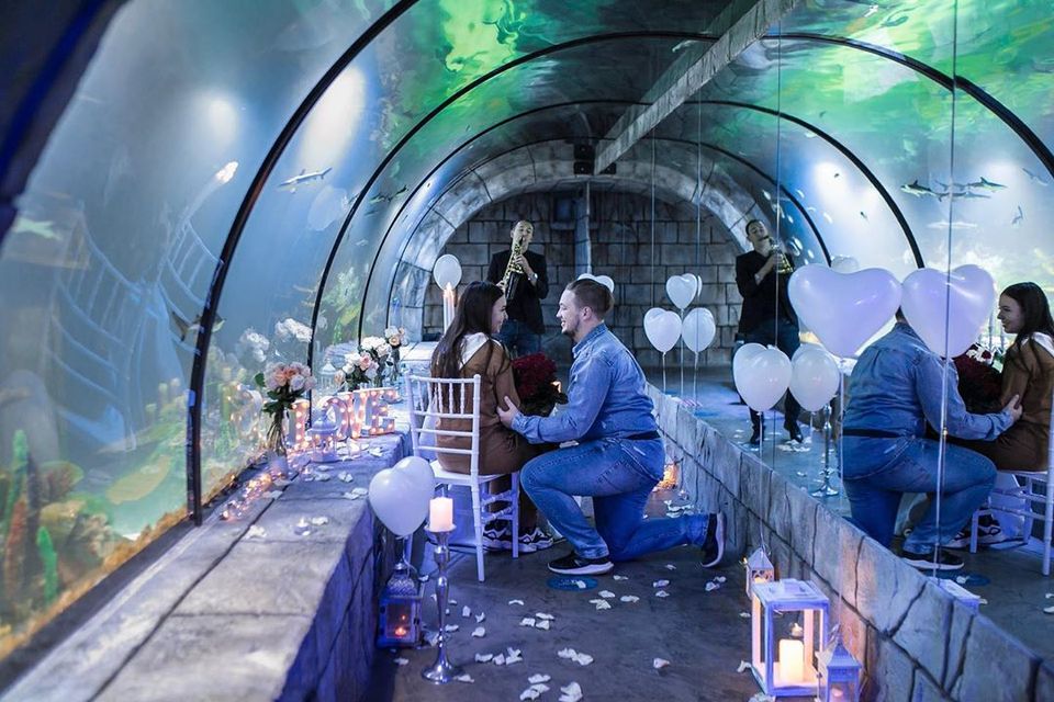 Львів'янин оригінально освідчився коханій в океанаріумі. Фото: Український контент