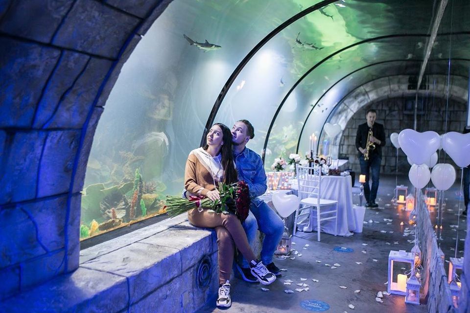 Львів'янин оригінально освідчився коханій в океанаріумі. Фото: Український контент