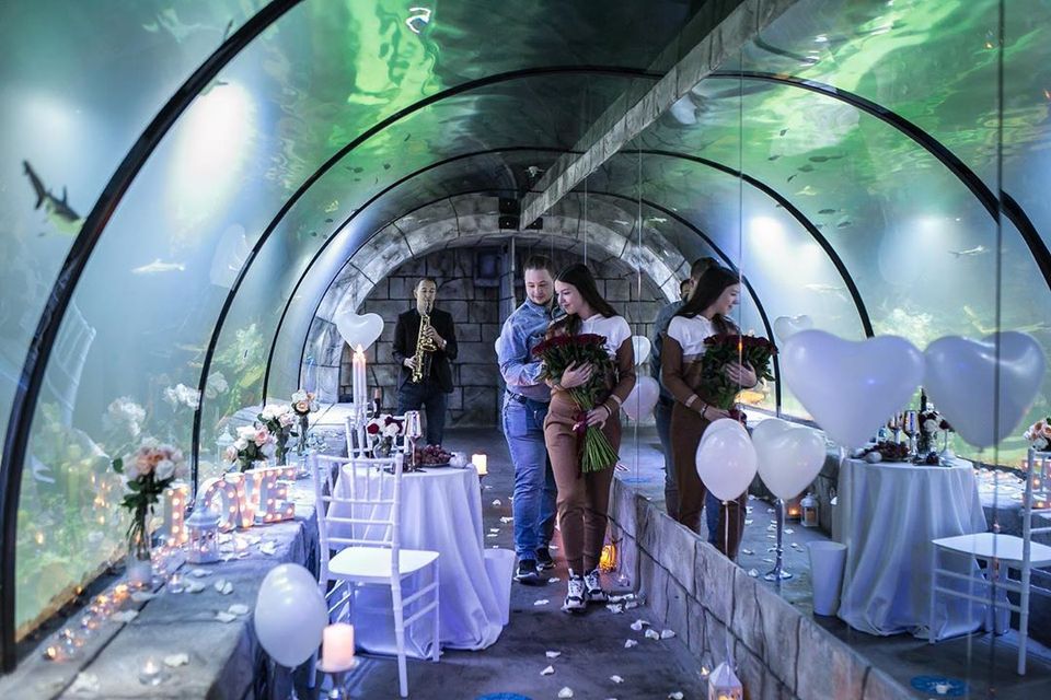 Львів'янин оригінально освідчився коханій в океанаріумі. Фото: Український контент