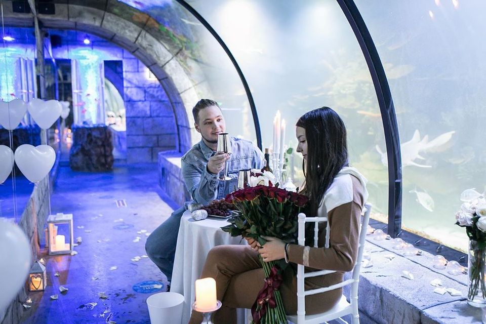 Львів'янин оригінально освідчився коханій в океанаріумі. Фото: Український контент