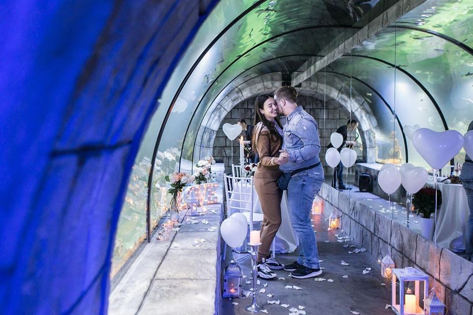 Львів'янин оригінально освідчився коханій в океанаріумі. Фото: Український контент