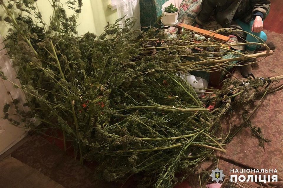 У наркоділка з-під Львова вилучили 10 кілограмів марихуани. Фото: Департамент боротьби з наркозлочинністю Національної поліції України
