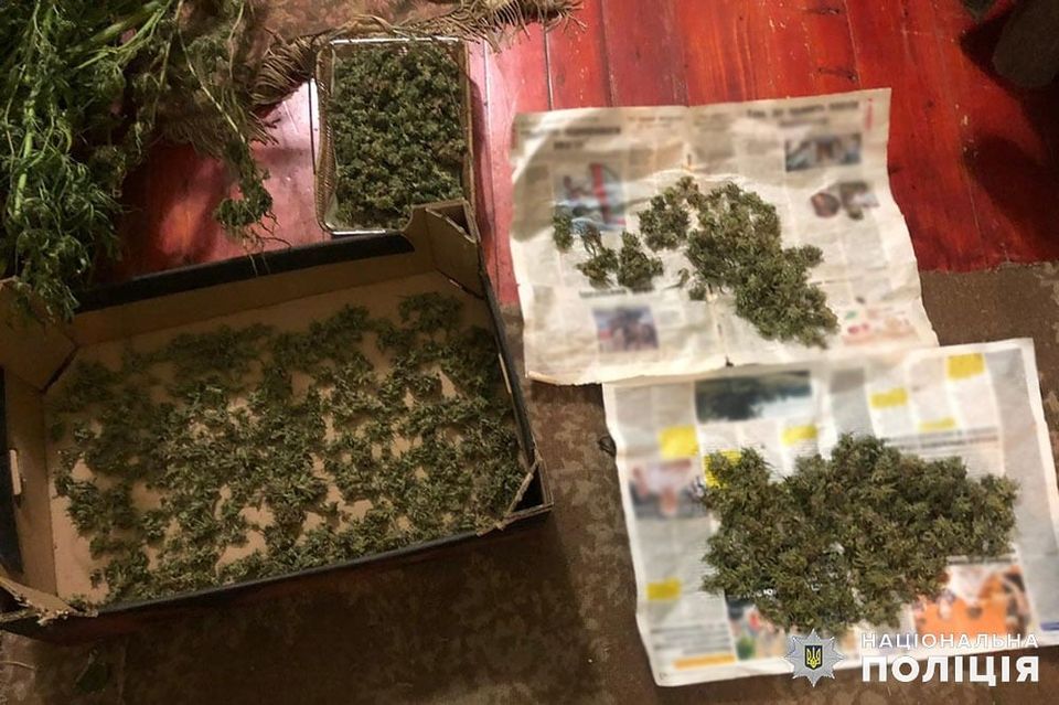 У наркоділка з-під Львова вилучили 10 кілограмів марихуани. Фото: Департамент боротьби з наркозлочинністю Національної поліції України