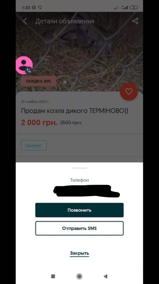 В львівському притулку оселився незрячий дикий козлик. Фото: Орест Залипський