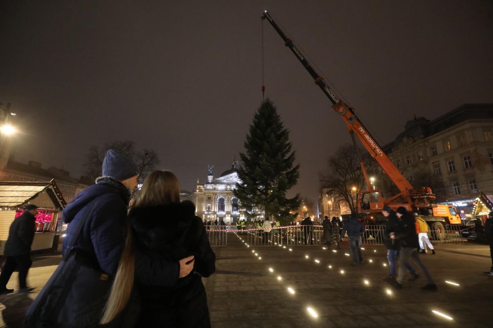 В центрі Львова встановили ялинку. Фото: Львівська міська рада