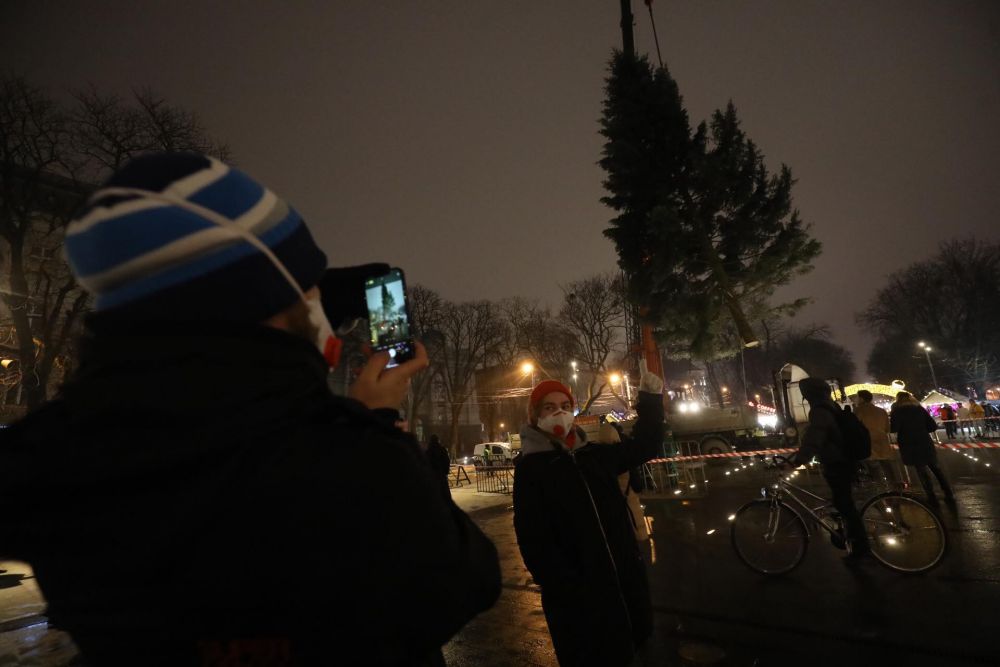 В центрі Львова встановили ялинку. Фото: Львівська міська рада