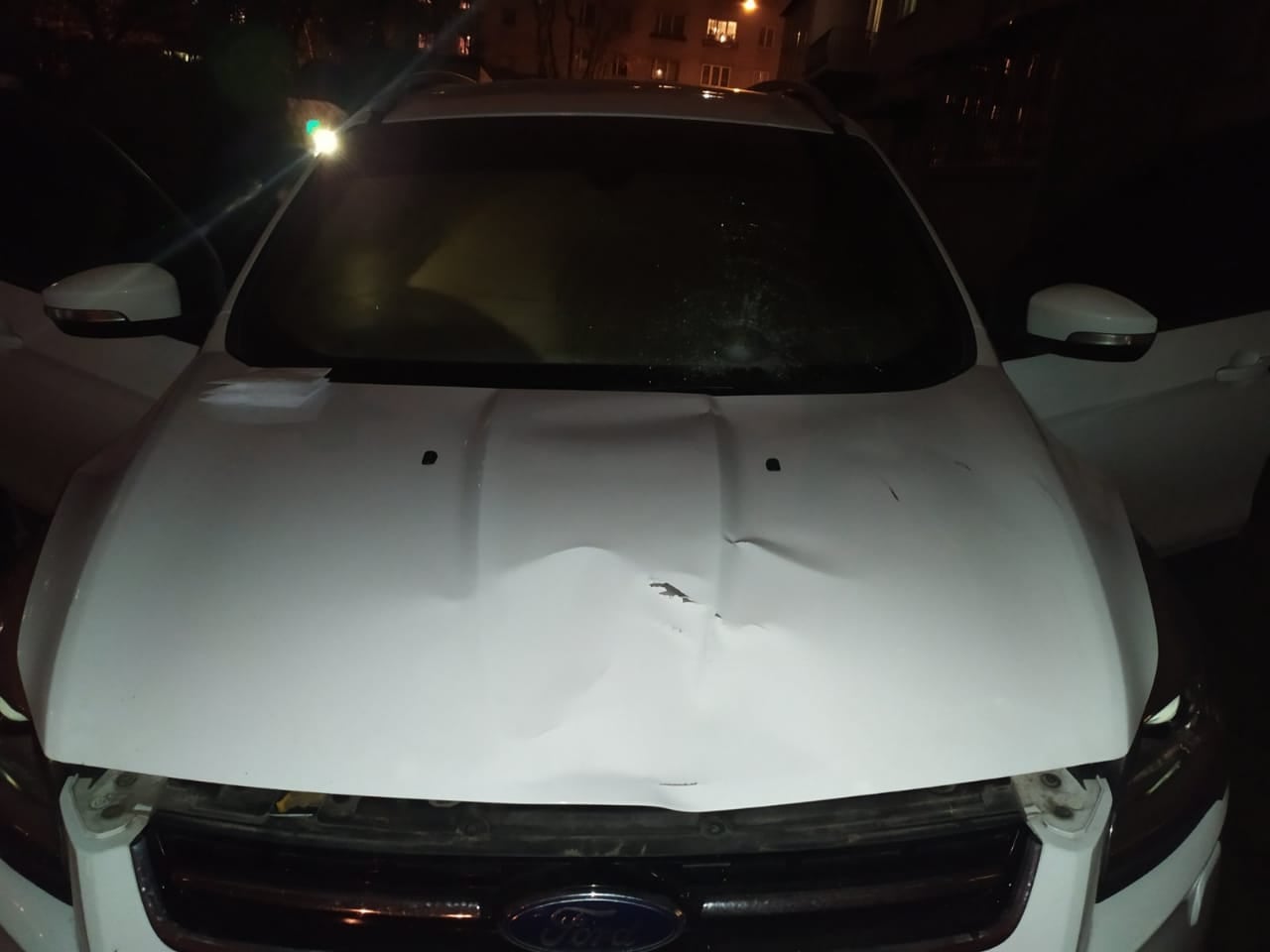 Поліція розшукала водія. Фото поліції