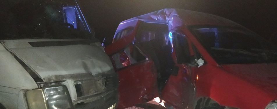 В ДТП на Львівщині травмувалися двоє людей. Фото поліції