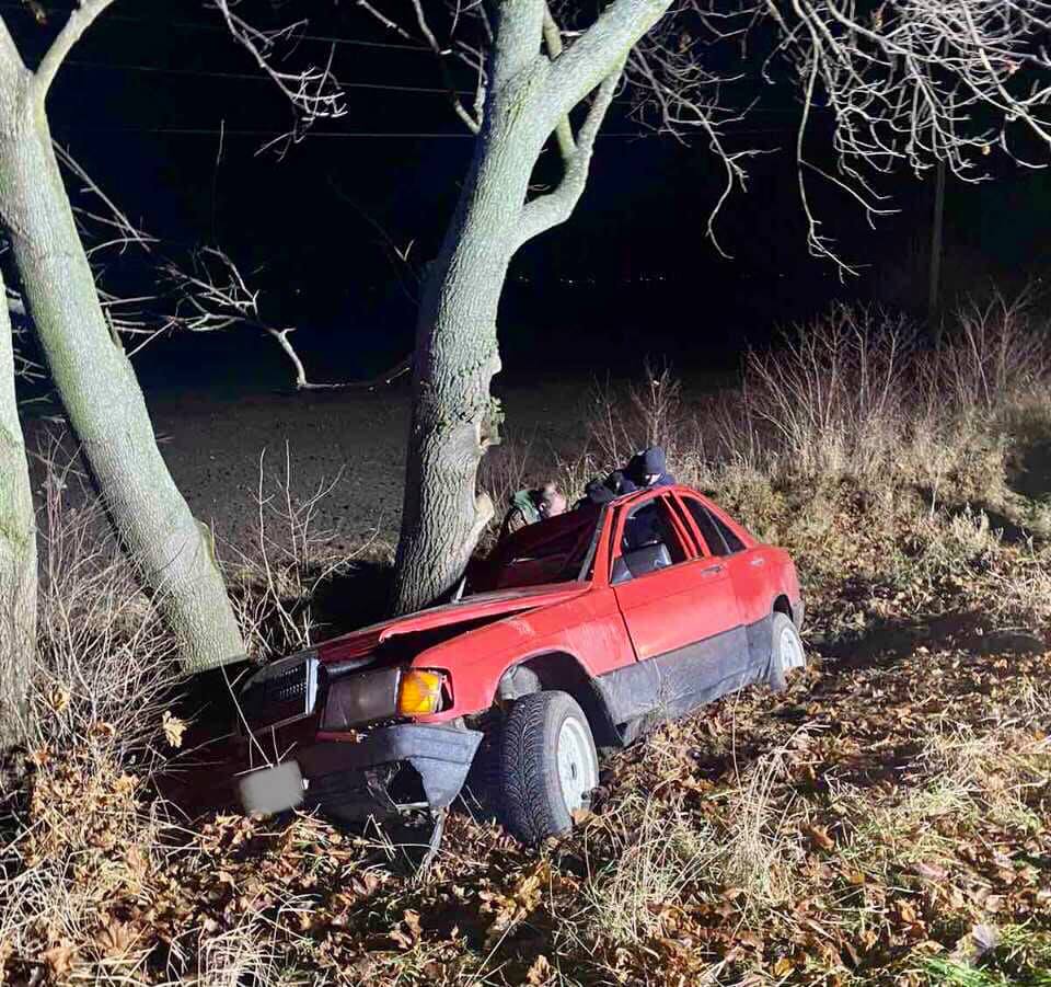 Біля Львова автомобіль злетів у кювет. Фото: ГУ ДСНС 