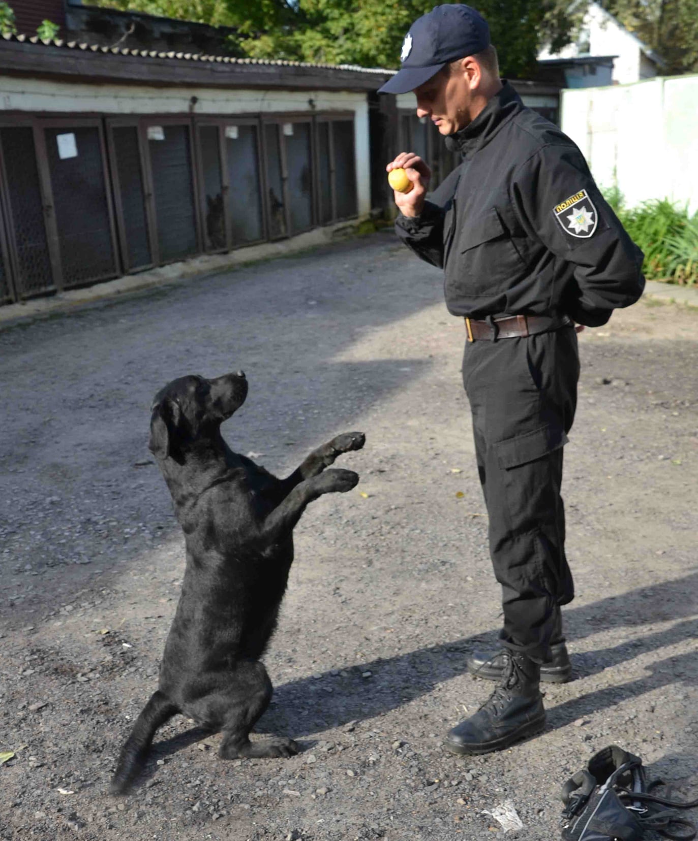 Львівські поліцейські показали найкращого шукача зброї та вибухівки. Фото поліції