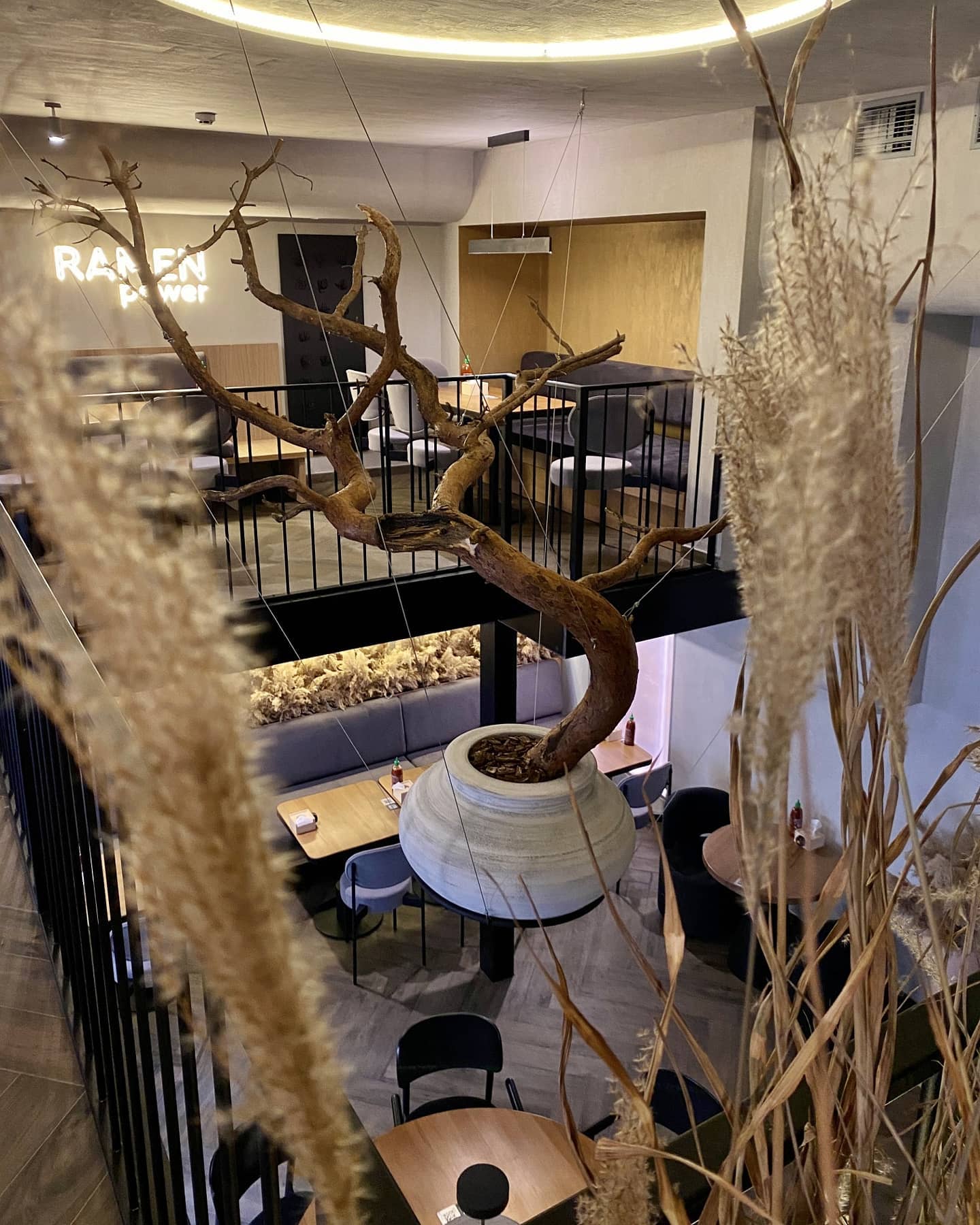 У Львові відкрили новий ресторан тайської та японської кухонь. Фото: NOA Asia Special/Facebook