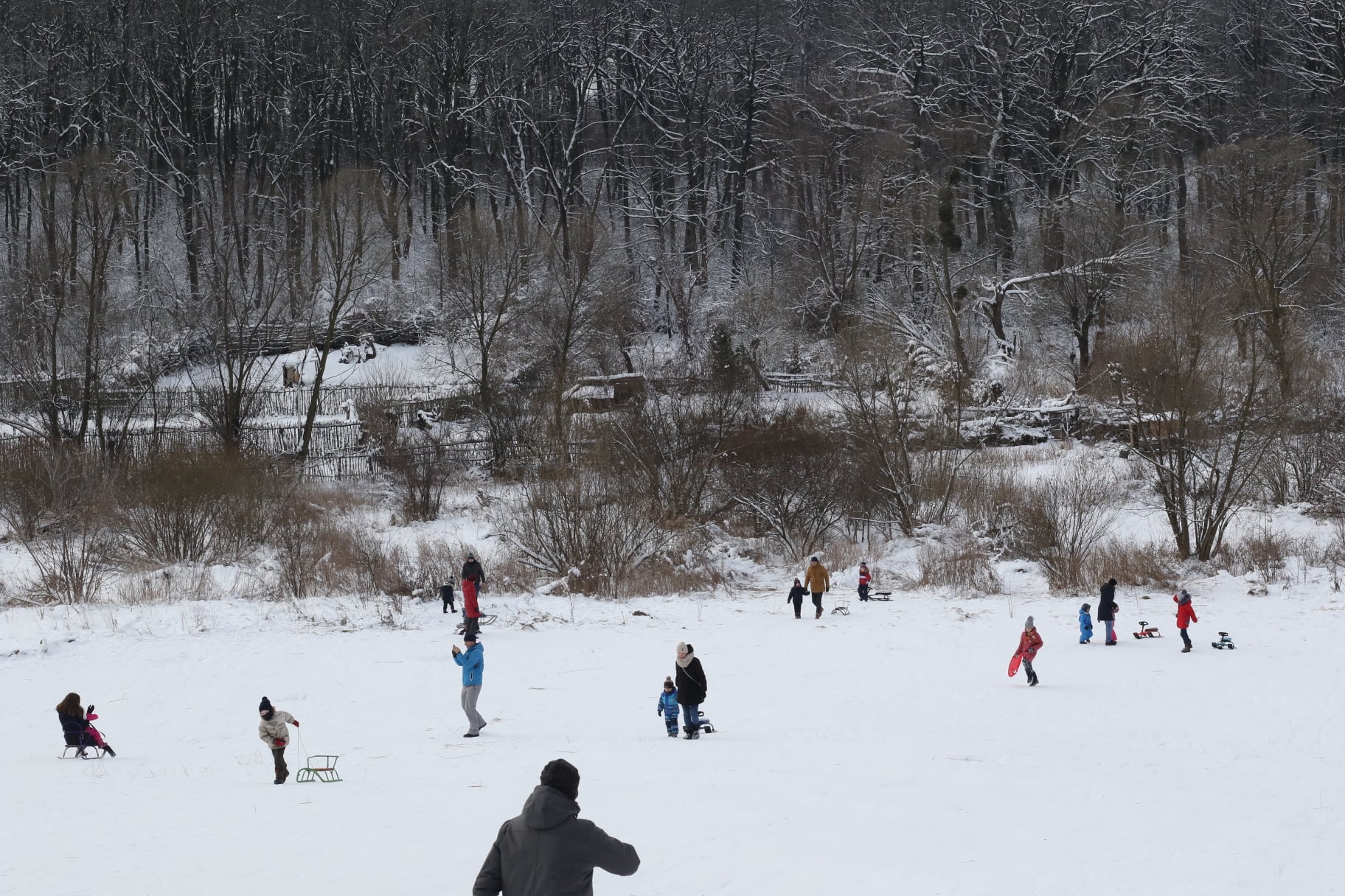 Львів замело рясним снігом. Фото: Ena Shen
