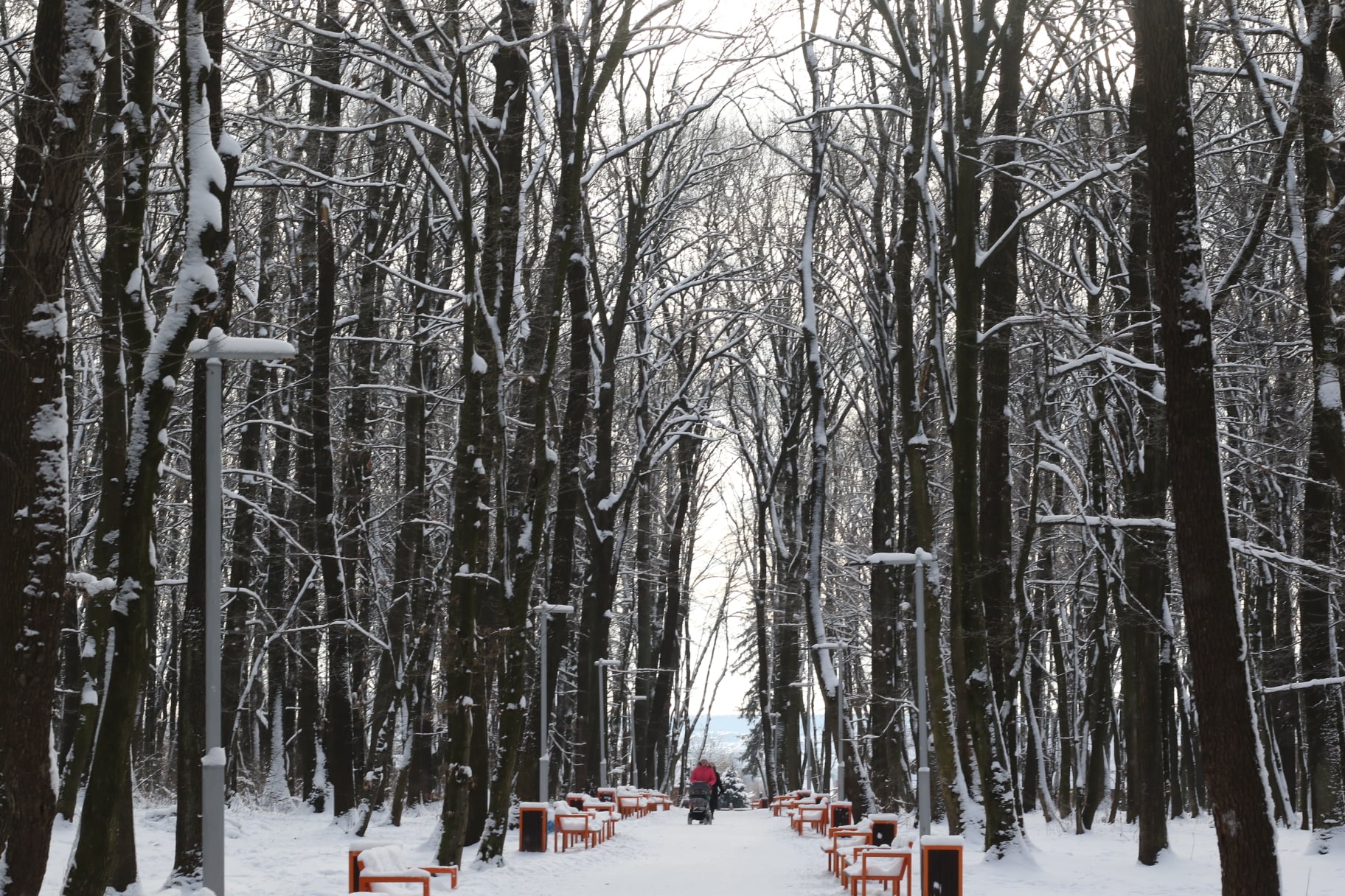 Львів замело рясним снігом. Фото: Ena Shen