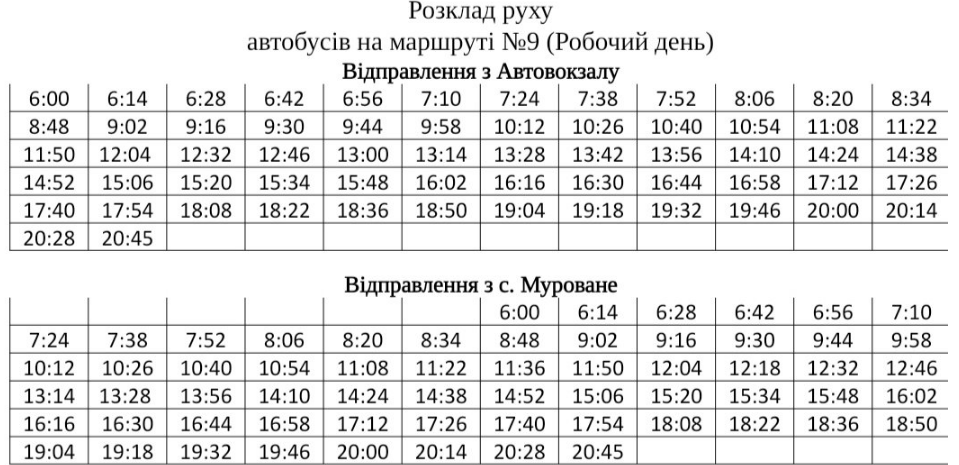Похвилинний графік: як курсують автобуси у Львові під час локдауну фото 14 13