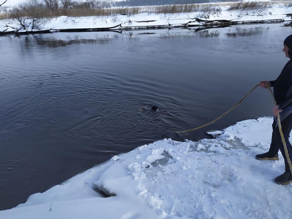 Зі Західного Буга витягли труп. Фото: Центральна рятувально-водолазна служба