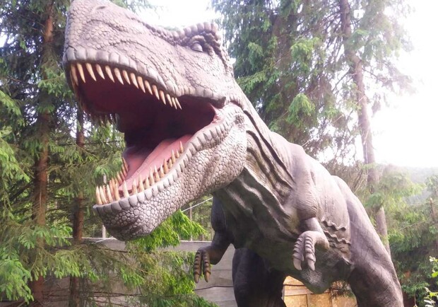 Куди піти у Львові на вихідних, 11-12 вересня. Фото парку