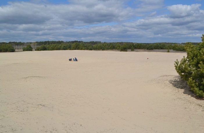 Пустеля на Львівщині “Бродівська Сахара”. Фото: Львів - місто натхнення