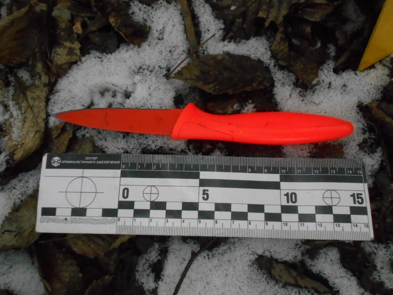 На Стрийщині чоловік накинувся з ножем на 61-річну сусідку. Фото поліції