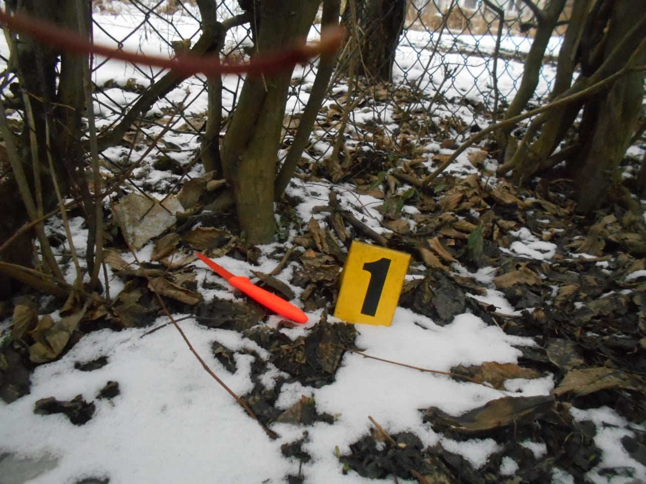 На Стрийщині чоловік накинувся з ножем на 61-річну сусідку. Фото поліції