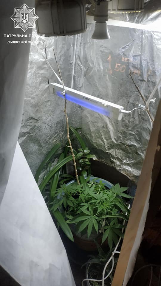 У Львові матір здала копам власного сина. Фото поліції