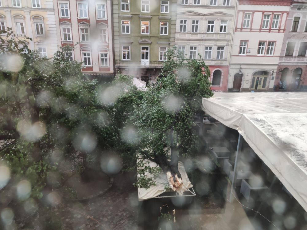 Львів накрила сильна буря. Фото: Львівська міська рада