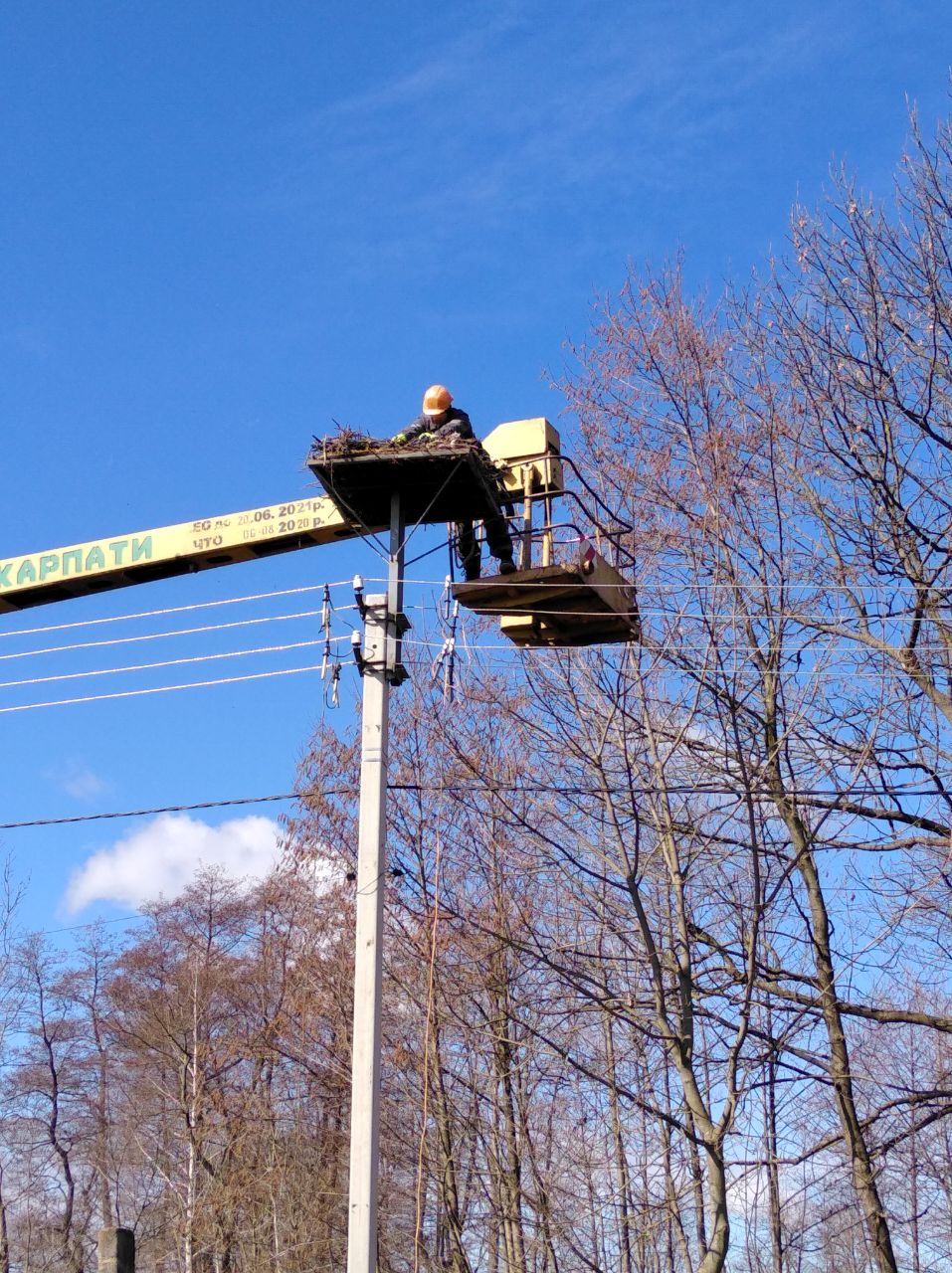 Львівські енергетики вимостили лелекам пів сотні гнізд. Фото: Львівобленерго