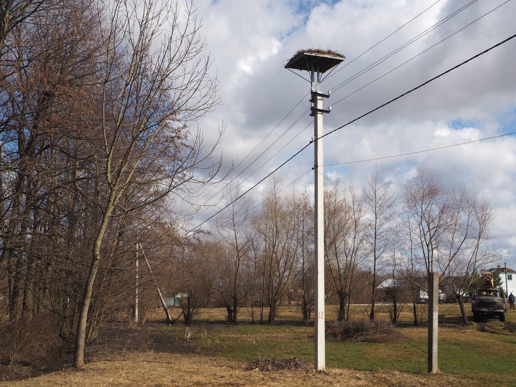 Львівські енергетики вимостили лелекам пів сотні гнізд. Фото: Львівобленерго