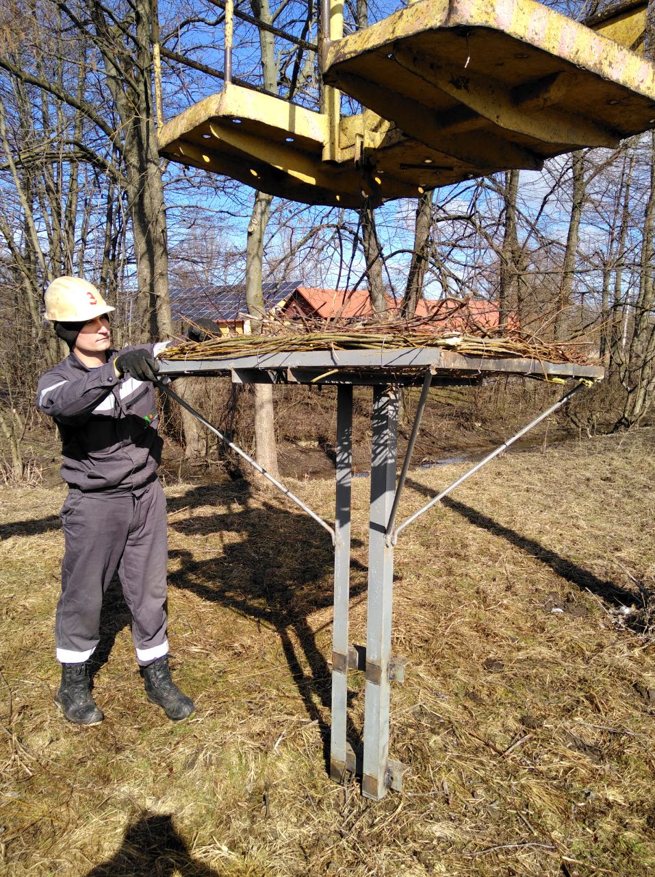 Львівські енергетики вимостили лелекам пів сотні гнізд. Фото: Львівобленерго