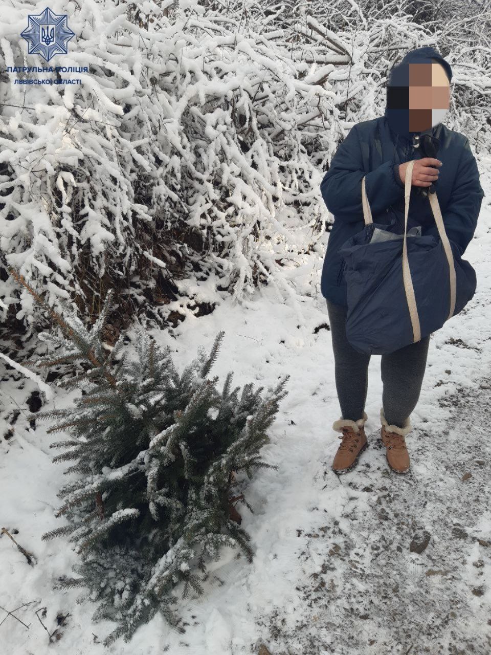У Снопківському парку патрульні затримали львів'янку з ялинкою і пилкою