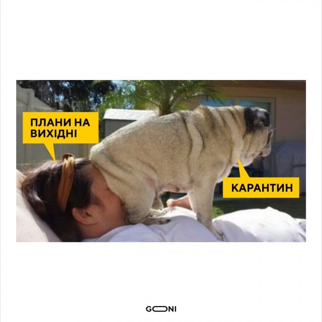 Фотожаби: як у соцмережах львів'яни жартують на тему коронавірусу фото 29 28