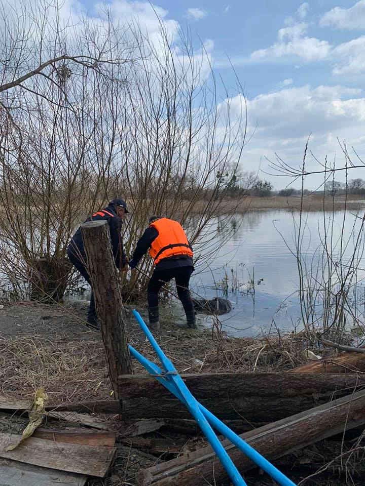 Шукали п’ять днів: зі ставка біля Червонограда витягли труп фото 1
