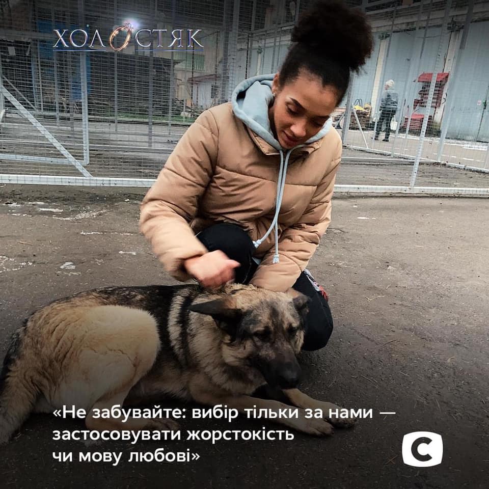 Фотопроєкт на підтримку тварин. Фото: СТБ