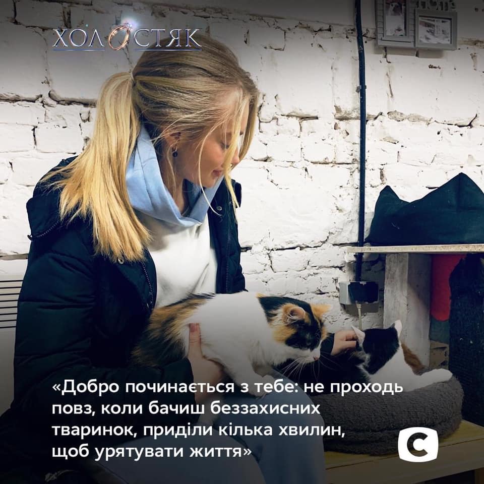 Фотопроєкт на підтримку тварин. Фото: СТБ