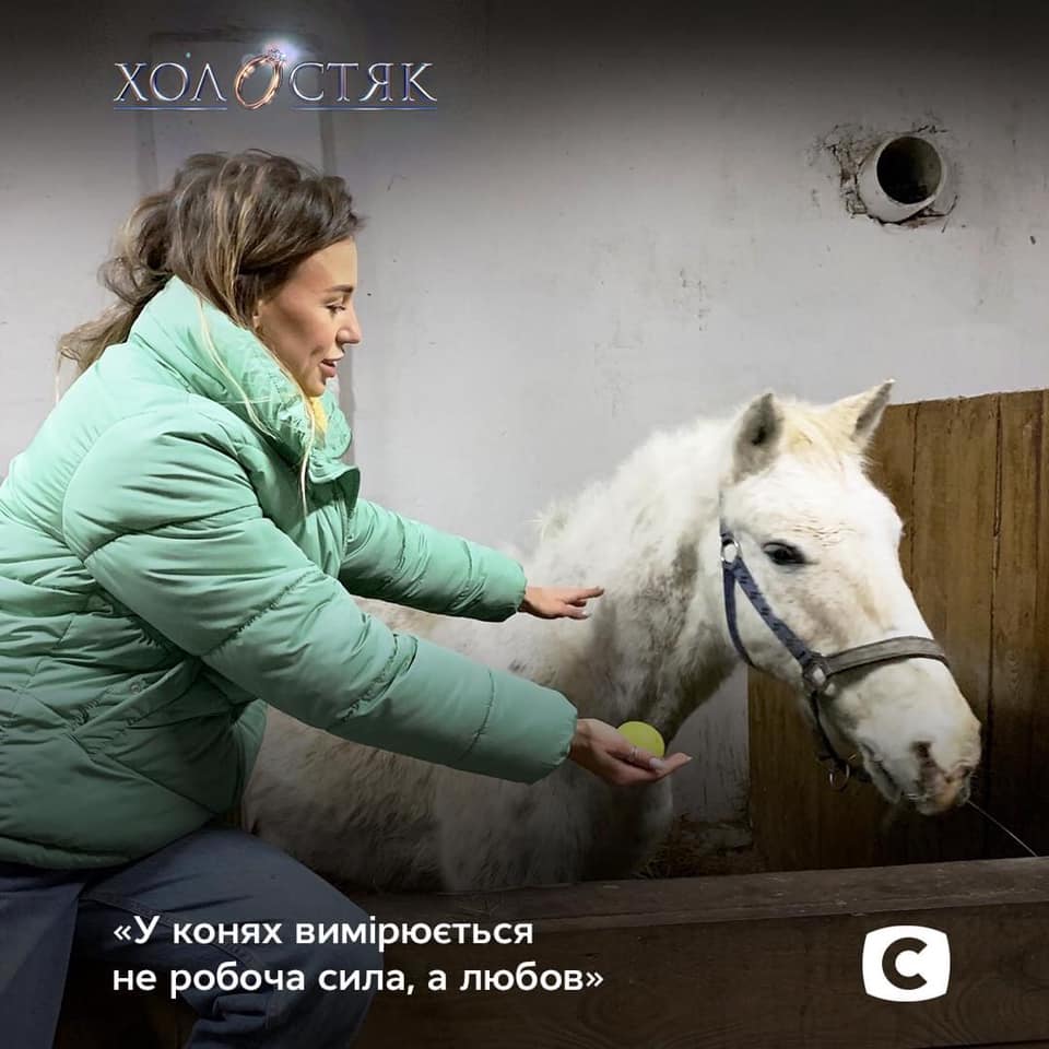 Фотопроєкт на підтримку тварин. Фото: СТБ