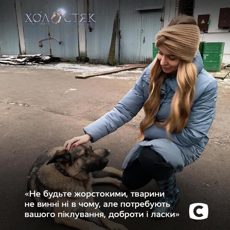 Фотопроєкт на підтримку тварин. Фото: СТБ