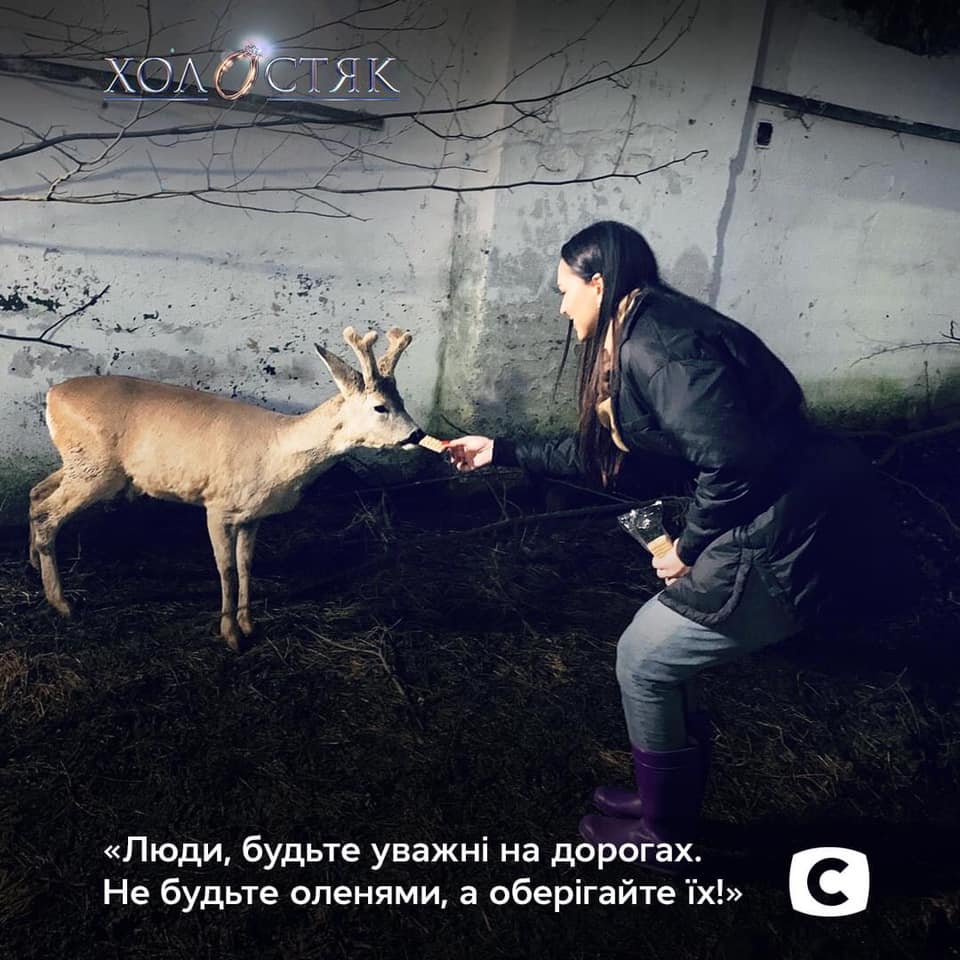 Фотопроєкт на підтримку тварин. Фото: СТБ