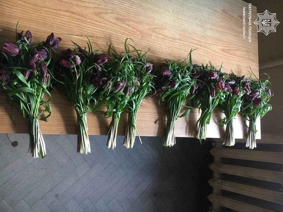 Серед вулиці у Львові жінка продавала червонокнижні чорні тюльпани. Фото поліції