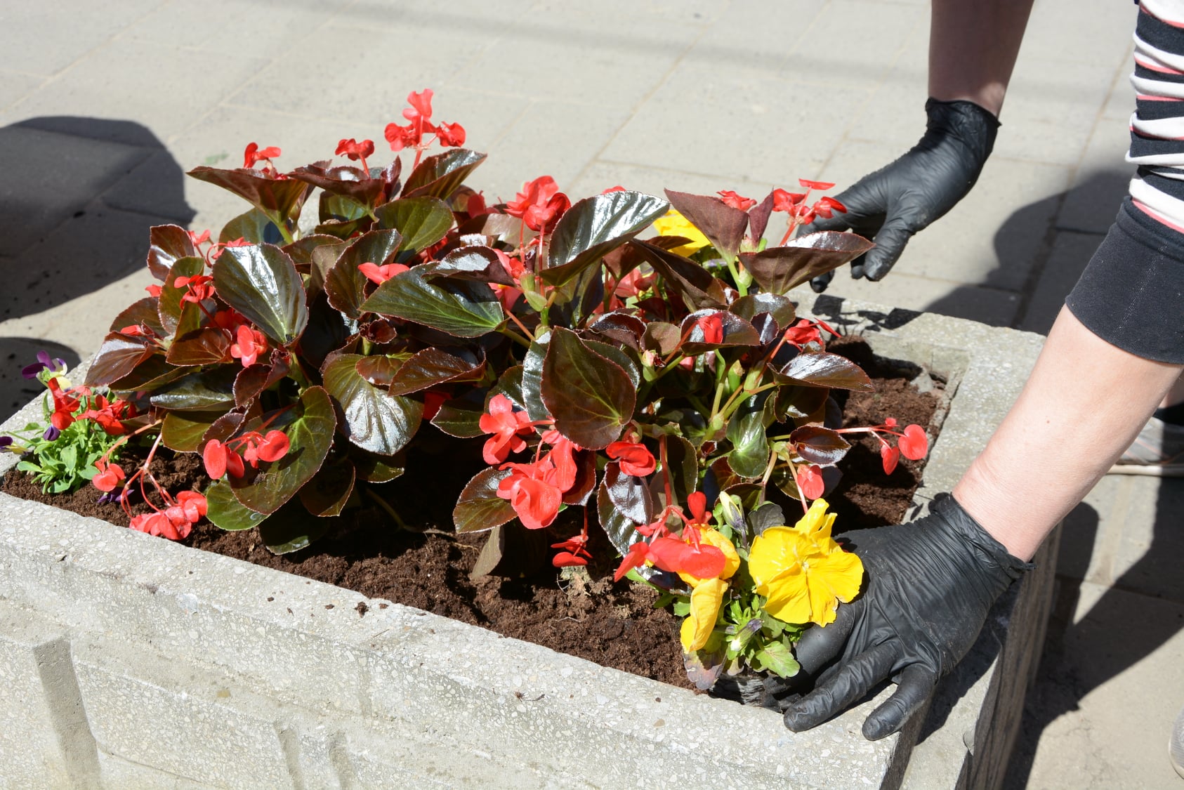 Львів готується до Великодня. Фото: Христина Процак