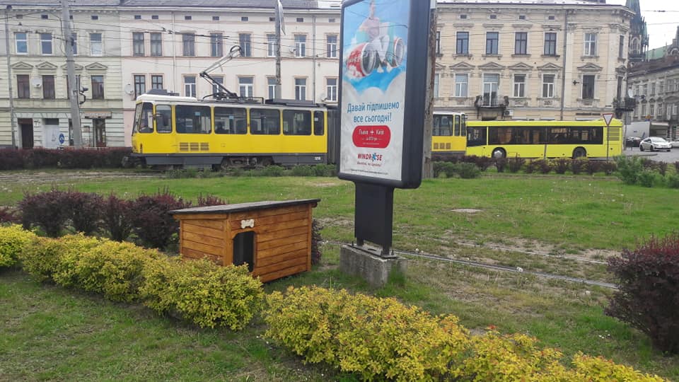 У Львові на квітнику встановили собачу будку. Фото: Оксана Кошак