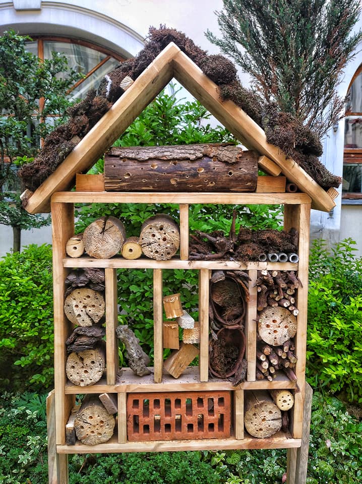 У центрі міста з'явився будиночок для комах. Фото: Сергій Глотов