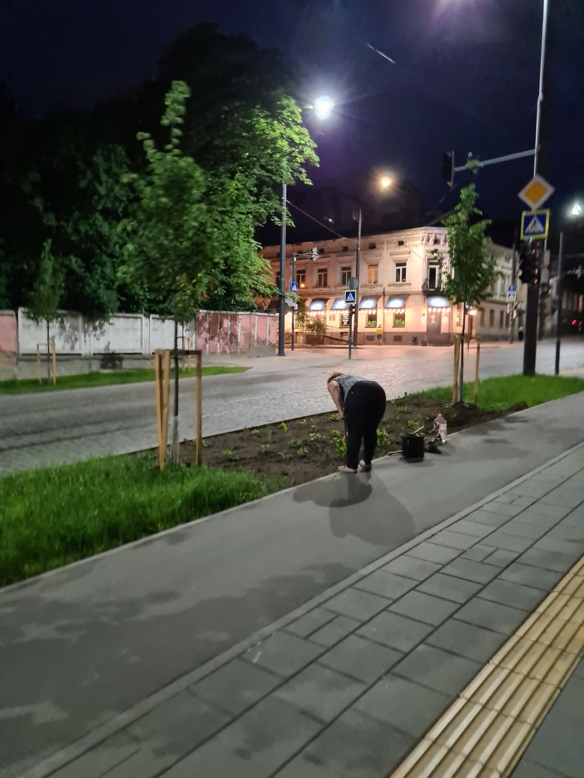 У Львові жінка знищила газон заради власних квітів. Фото: Mate Skiryk 