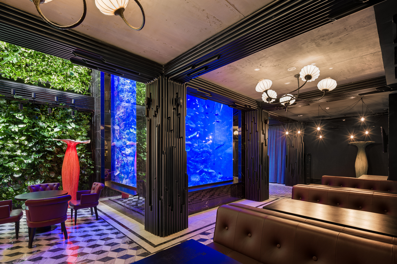 Ресторан з акулами в центрі Львова. Фото: 36ПО