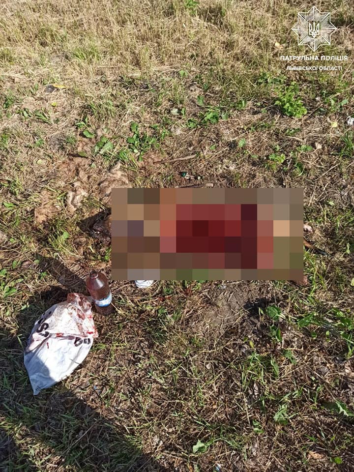 Біля Львова чоловік шматком скла розчленував собаку. Фото поліції
