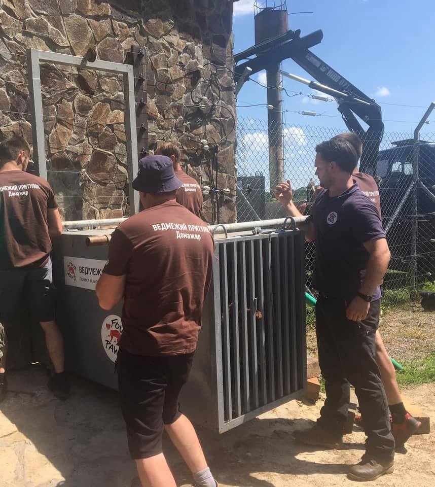 У ведмежий притулок «Домажир» привезли нових мешканців. Фото: Ведмежий притулок "Домажир"