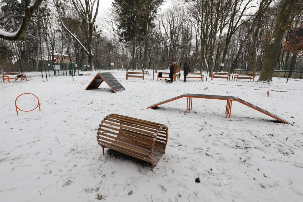 У Львові облаштували новий тренувально-вигульний майданчик для собак: де і як він виглядає фото 2 1