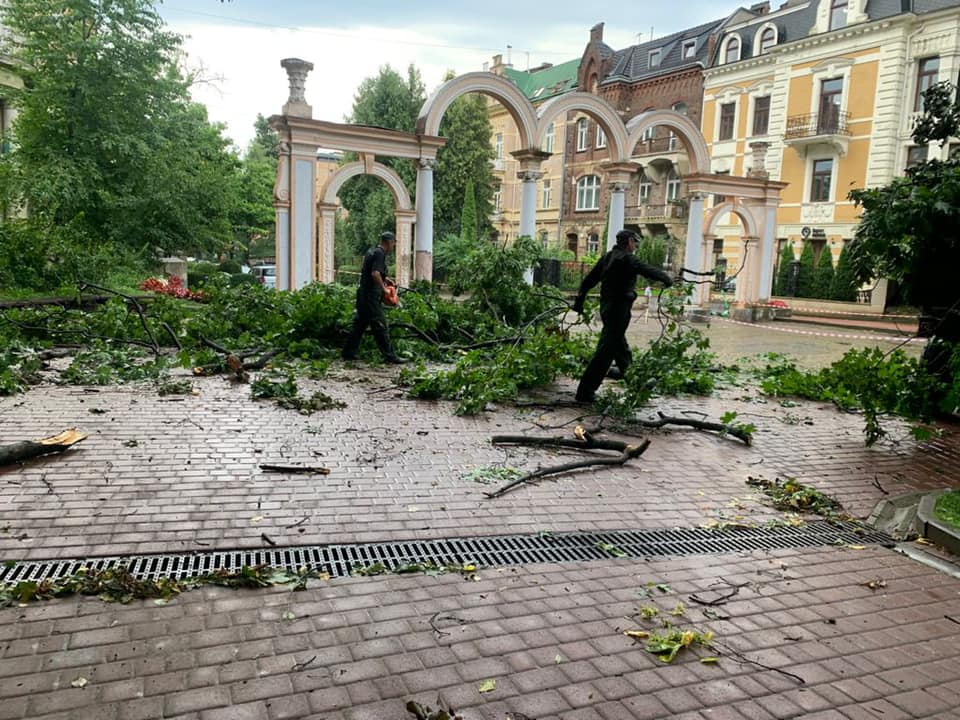 В Стрийському парку впали дерева. Фото: Стрийський парк