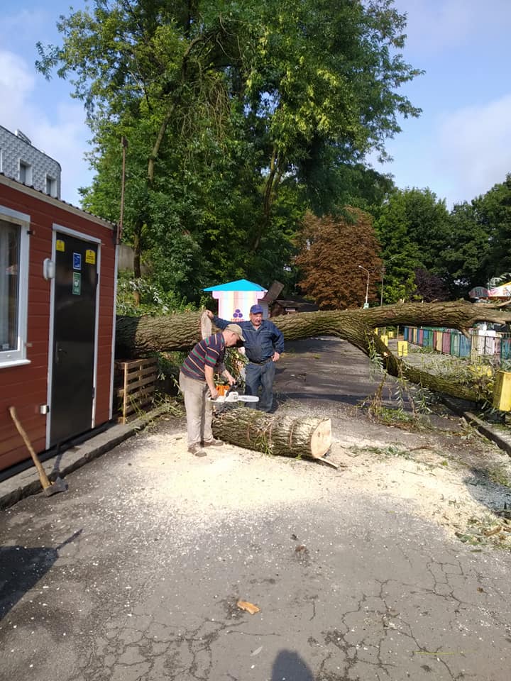 В Парку культури дерева впали на атракціон. Фото: Парк культури