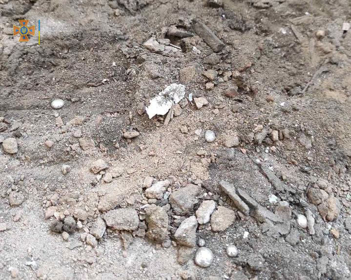 У школі в центрі Львова виявили небезпечну знахідку. Фото: ГУ ДСНС