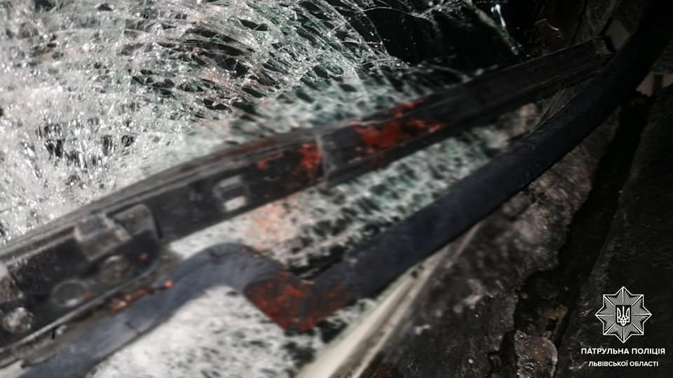 Неподалік Львова п'яний 18-річний водій збив пішохода та втік